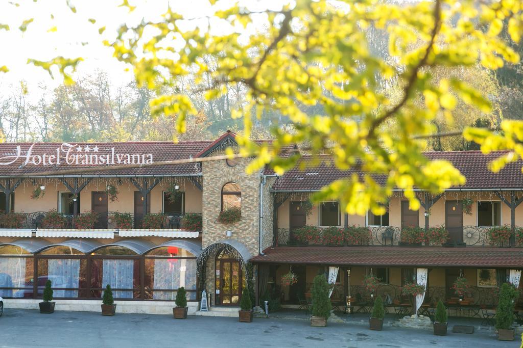 Hotel Transilvania Сигишоара Экстерьер фото